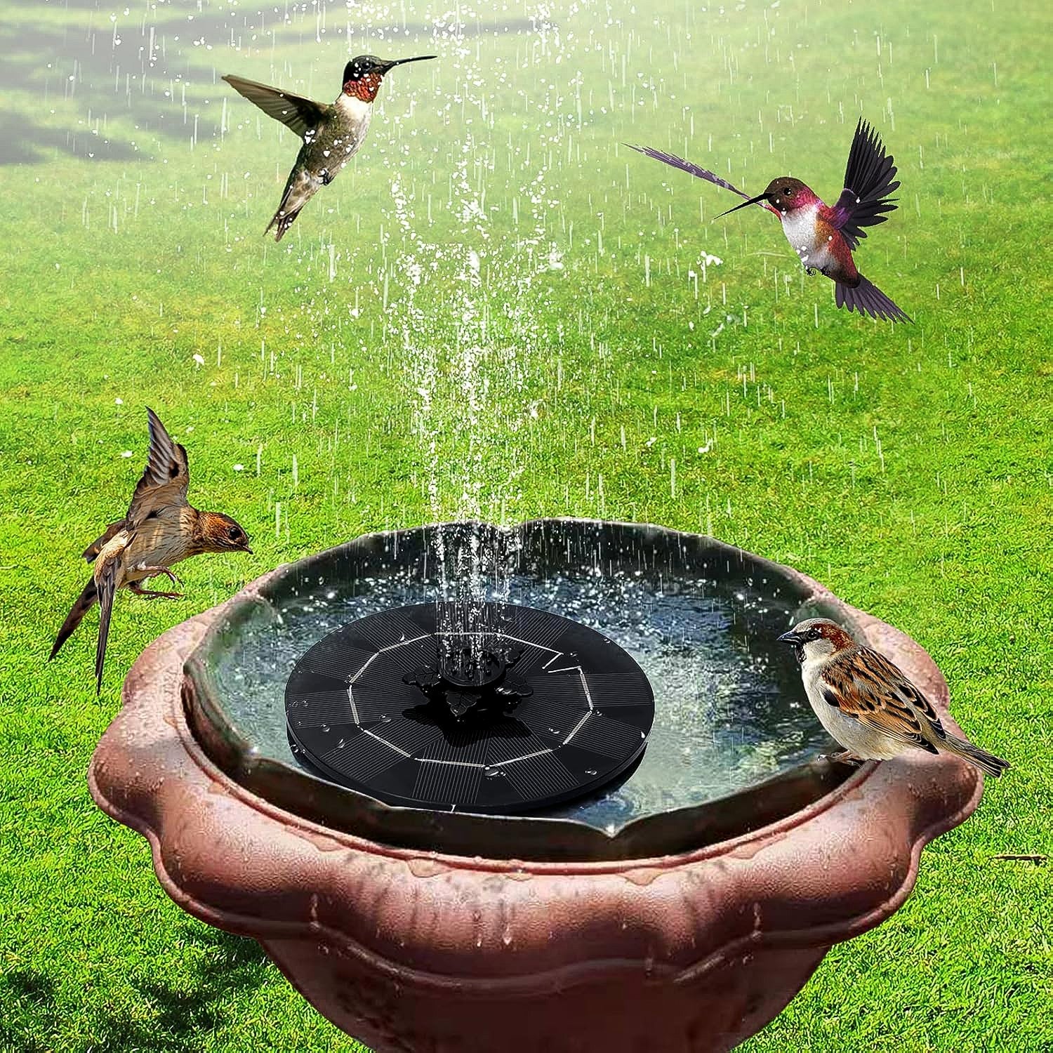 Fast Fountain by Pocket Hose - Solar-Powered - Instantly Adds a Water Feature Virtually Anywhere - 5 Spray Modes - No Installation or Batteries Required - Great for Bird Baths, Pools, Pond & More (1 Pc) Fast Fountain by Pocket Hose - Solar-Powered - Instantly Adds a Water Feature Virtually Anywhere - 5 Spray Modes - No Installation or Batteries Required - Great for Bird Baths, Pools, Pond & More (1 Pc)